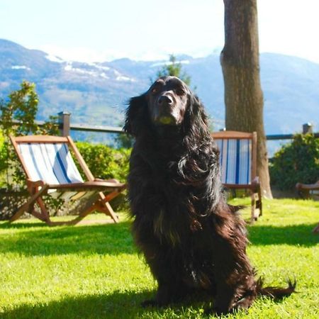 Bed & Breakfast Chez Berry Aosta Zewnętrze zdjęcie