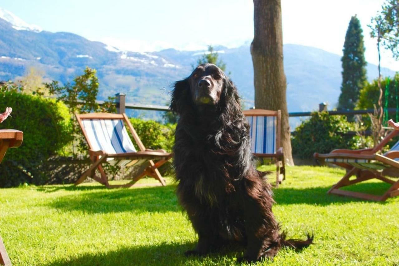 Bed & Breakfast Chez Berry Aosta Zewnętrze zdjęcie